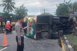 Bus AKDP Pariaman–Padang Terguling di Lubuk Buaya, 8 Penumpang Luka-luka