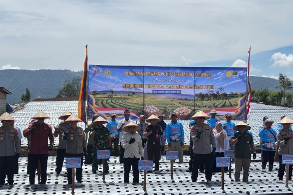 Danau Kembar Jadi Lokasi Penanaman Bawang Putih Serentak Nasional
