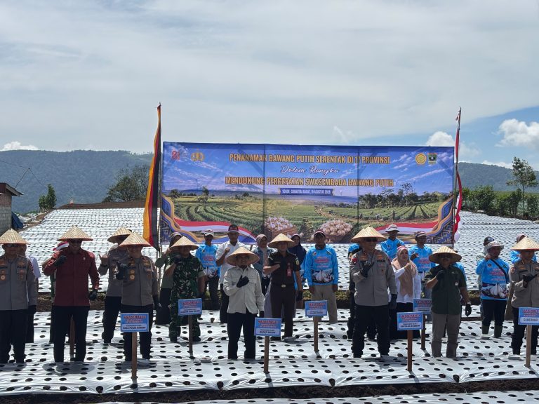 Danau Kembar Jadi Lokasi Penanaman Bawang Putih Serentak Nasional