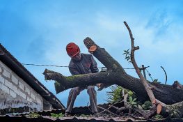 Banjir Meluas di Padang, BPBD Pastikan Tak Ada Korban Jiwa