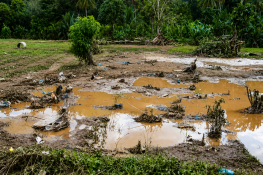 Baru Direhabilitasi, 30 Hektare Sawah di Padang Kembali Rusak Dilanda Banjir
