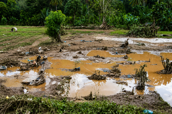 Baru Direhabilitasi, 30 Hektare Sawah di Padang Kembali Rusak Dilanda Banjir