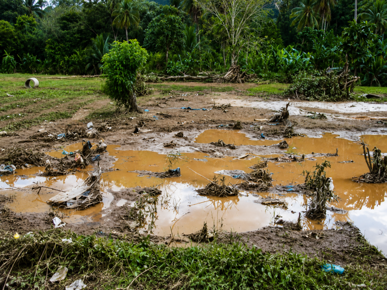 Baru Direhabilitasi, 30 Hektare Sawah di Padang Kembali Rusak Dilanda Banjir