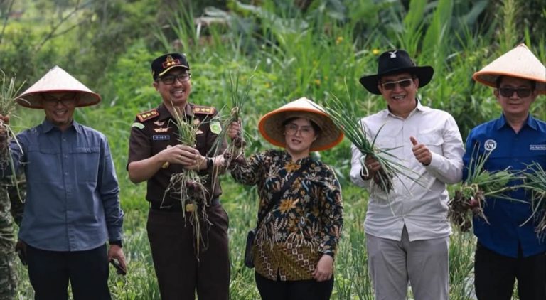 Panen Bawang Merah Didorong Perkuat Ketahanan Pangan dan Kendalikan Inflasi